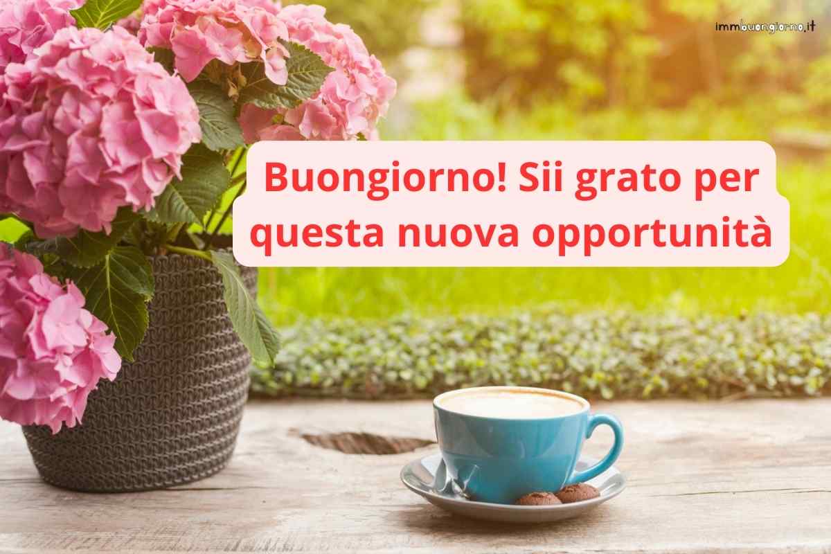 Immagini buongiorno venerdì 5 gennaio 2024: frasi e gif per Whatsapp, Facebook e Instagram